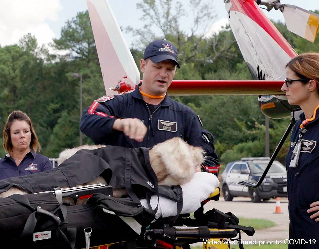 Law enforcement K9s in need of critical medical care, who are within Life Flight’s 150-mile radius, will be transported to one of three veterinary hospitals: Texas A&M University Veterinary Medical Teaching Hospital, VERGI 24/7 Animal Emergency and Critical Care Hospital or Westbury Animal Hospital. Memorial Hermann Life Flight Photo