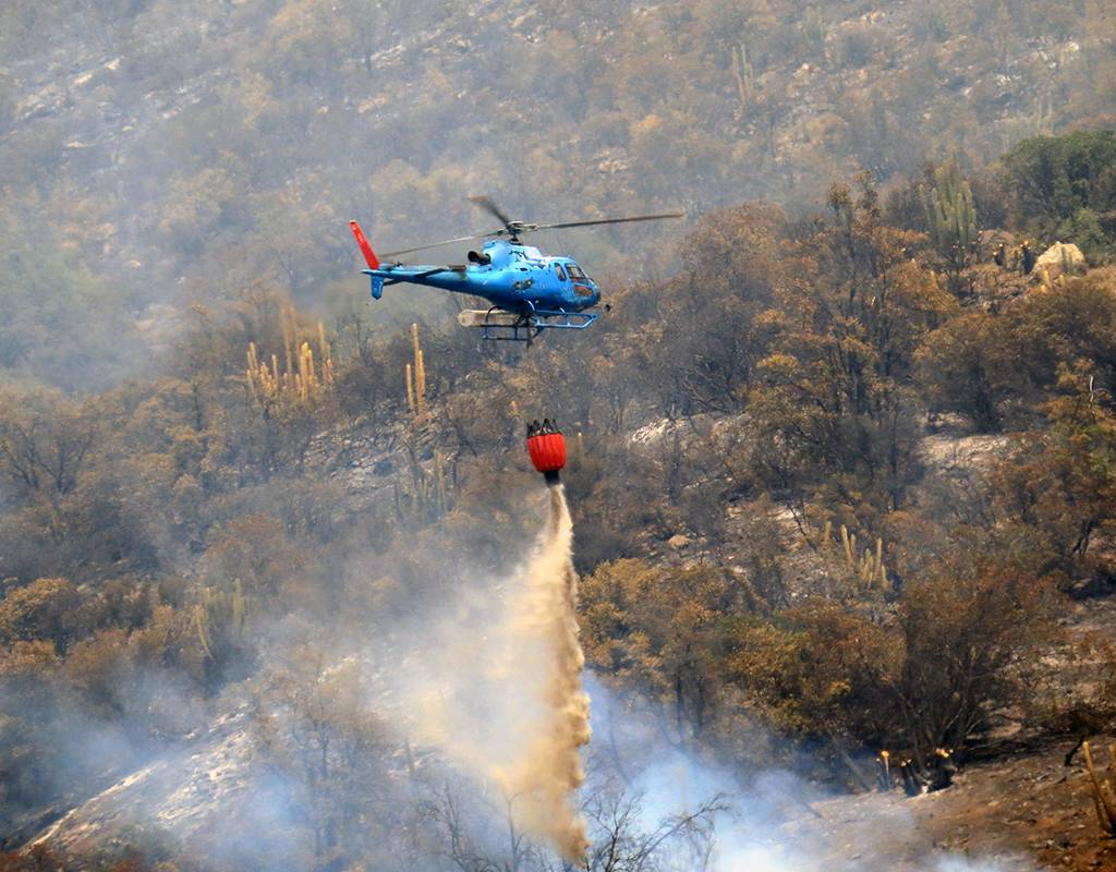 • Fires in Los Vilos and Til Til, have already devastated more than 1500 hectares and specialized helicopters and their crews continue to fight the fire. Ecocopter Photo