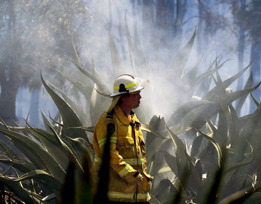 Australia’s bushfires burned through an estimated 18 million hectares of bushland and destroyed 2,900 homes. Ned Dawson/NSW Rural Fire Service Photo