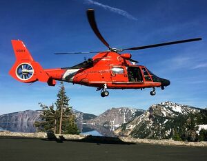 A Coast Guard aircrew aboard an MH-65 Dolphin helicopter from Air Facility Newport helped locate a family that went missing while looking for the perfect Christmas tree. U.S. Coast Guard Photo