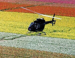 A Bell 206 helicopter surveys a field. NAAA Photo