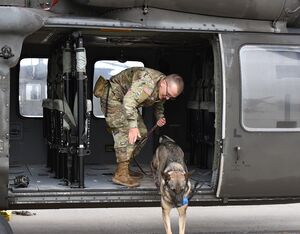 As part of the training orientation process, the dogs were led by their handlers to the flight line and practiced boarding and dismounting the helicopter while the rotors were spinning. Michelle Thum Photo