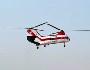 The standard category Columbia Model 107-II features a 22,000-lb. (9,979-kg) lifting capacity. Columbia Helicopters Photo