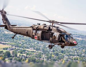 An Idaho Army National Guard’s State Aviation Group pilot flies a UH-60 Black Hawk over Boise, Idaho. Master Sgt Becky Vanshur, Idaho Army National Guard Photo